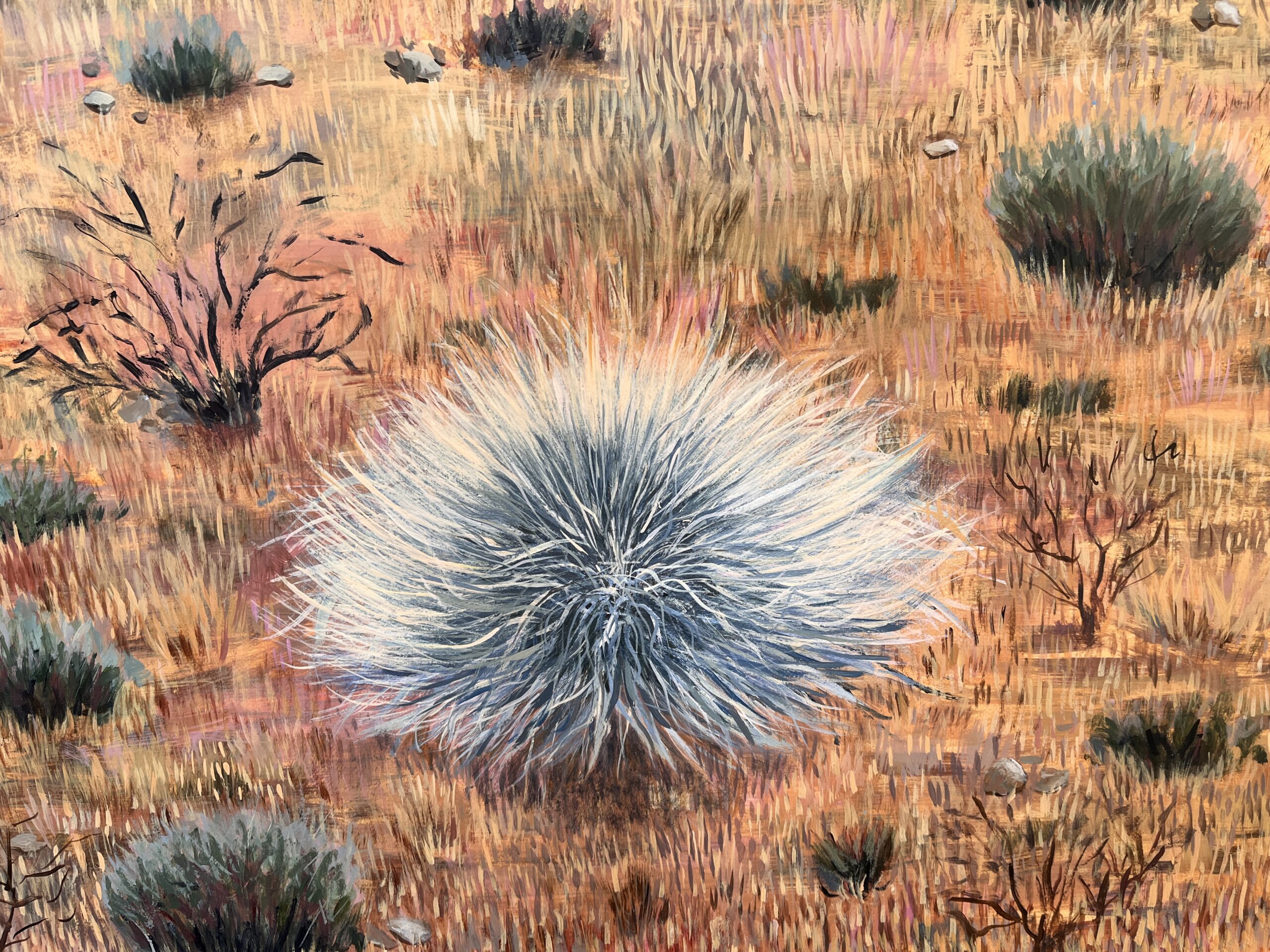 Pirates of Joshua Tree at Witching Hour - Image 7