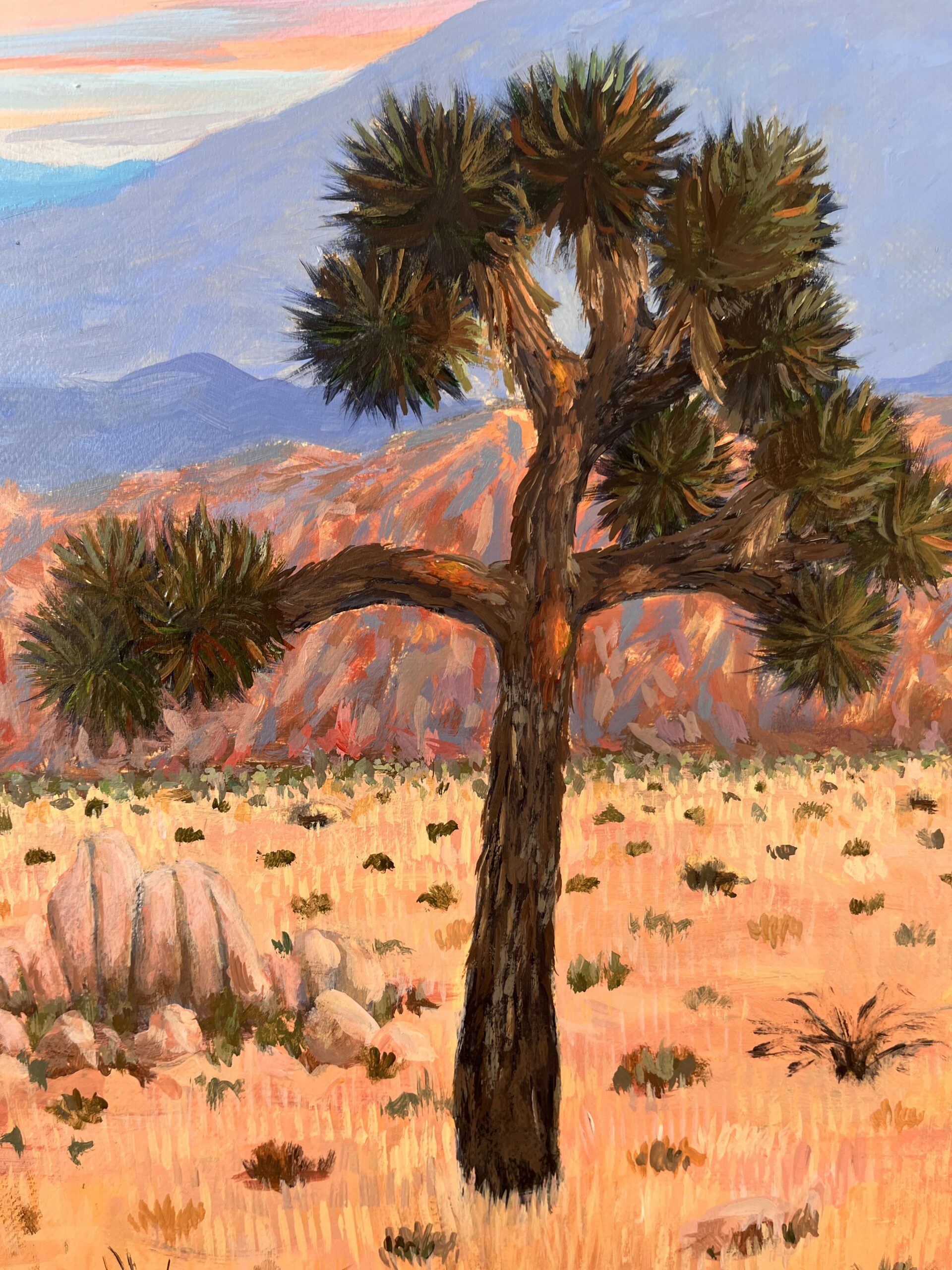 Pirates of Joshua Tree at Witching Hour - Image 3