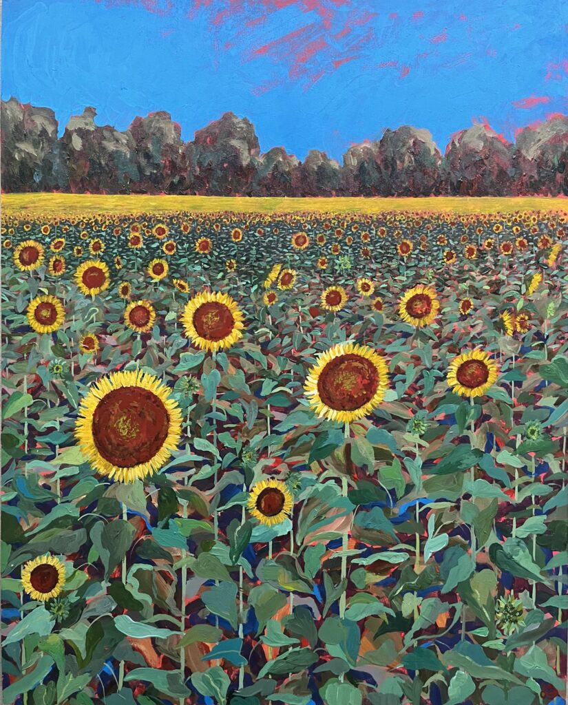 Sun Followers