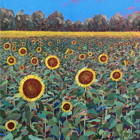 Sun Followers