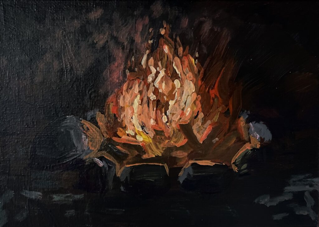 Small Camp Fire