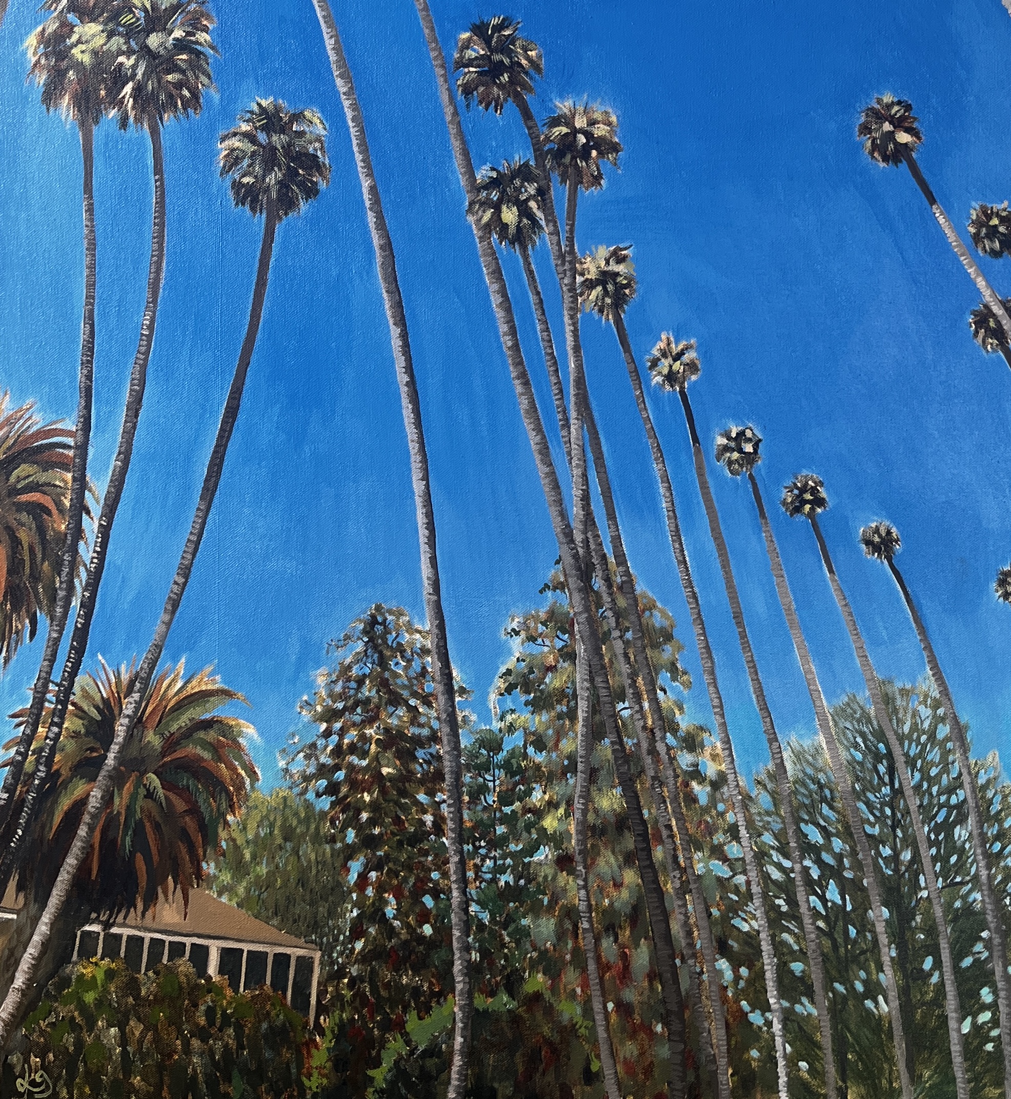 Hill Drive - Image 7