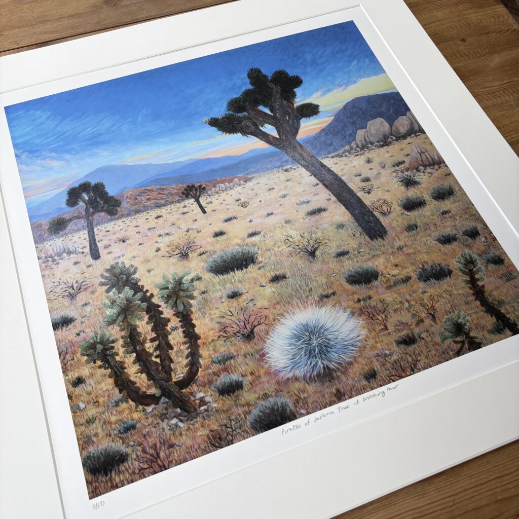 Pirates of Joshua Tree at Witching Hour - Limited Edition Giclee Print